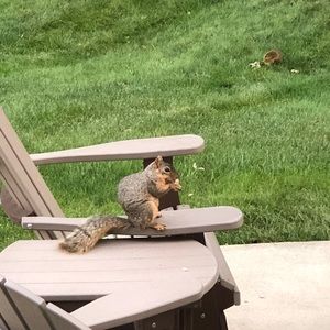 Meet your Posher, Jay